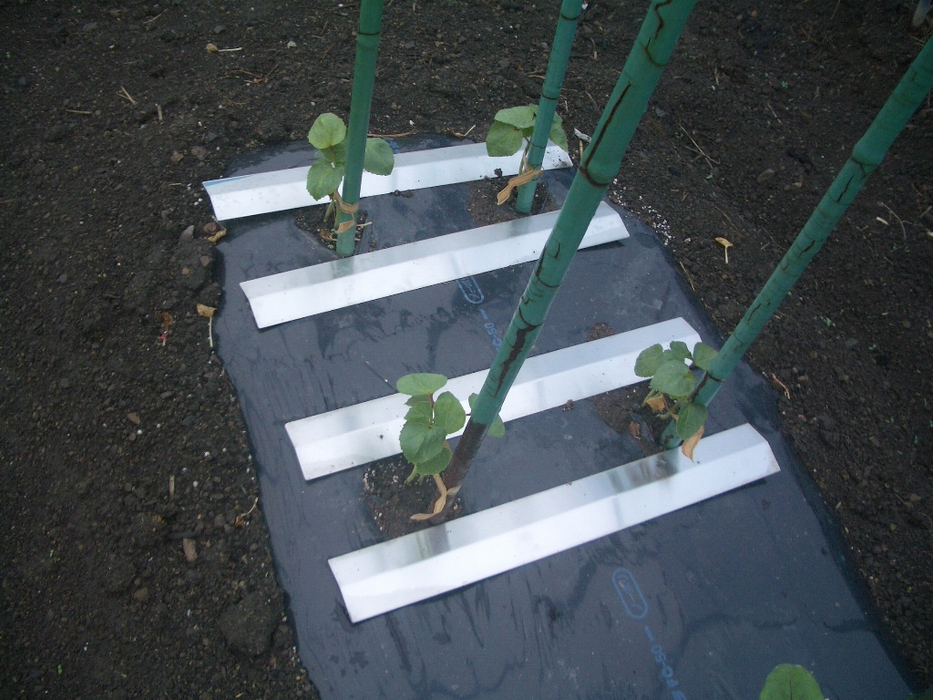 репеллент защита от сорняков долгосрочный серебряный мульти- сиденье 12 листов