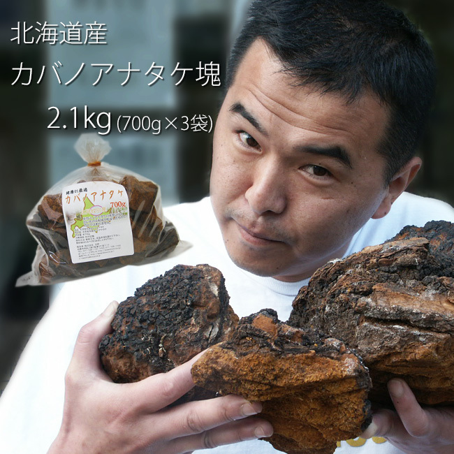 業務用 カバノアナタケ茶塊(原体)2.1kg(700g×3袋セット)北海道産チャーガ茶100%(かばのあなたけ茶)樺孔茸茶 チャーガティ