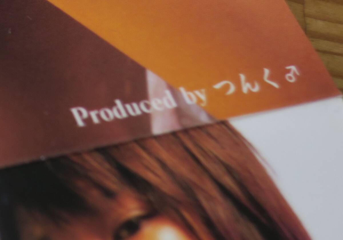 ソニンCD愛はもっとそうじゃなくてカレーライスの女つんく鈴木Daichi秀行Insetrumental河野伸[検]SonimカラオケEE JUMP_画像5