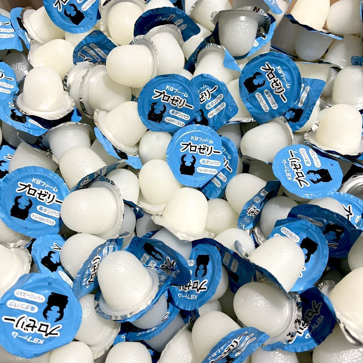 【送料無料】 KBファーム プロゼリー 16g 500個 純国産 昆虫ゼリー カブトムシ・クワガタ