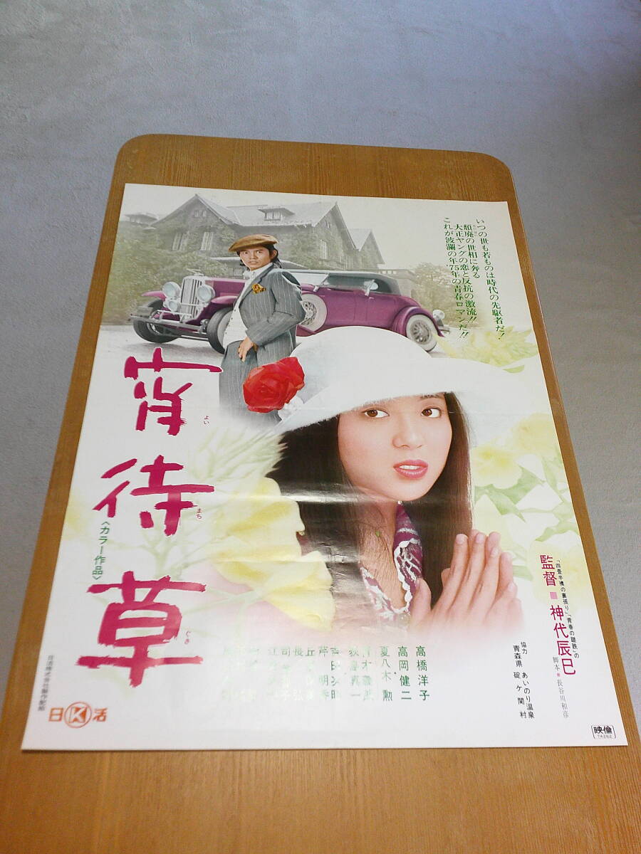 新品　未開封　宵待草　DVD　高橋洋子 　高岡健二　神代辰巳　未使用 宵待草 | 映画 | 日活