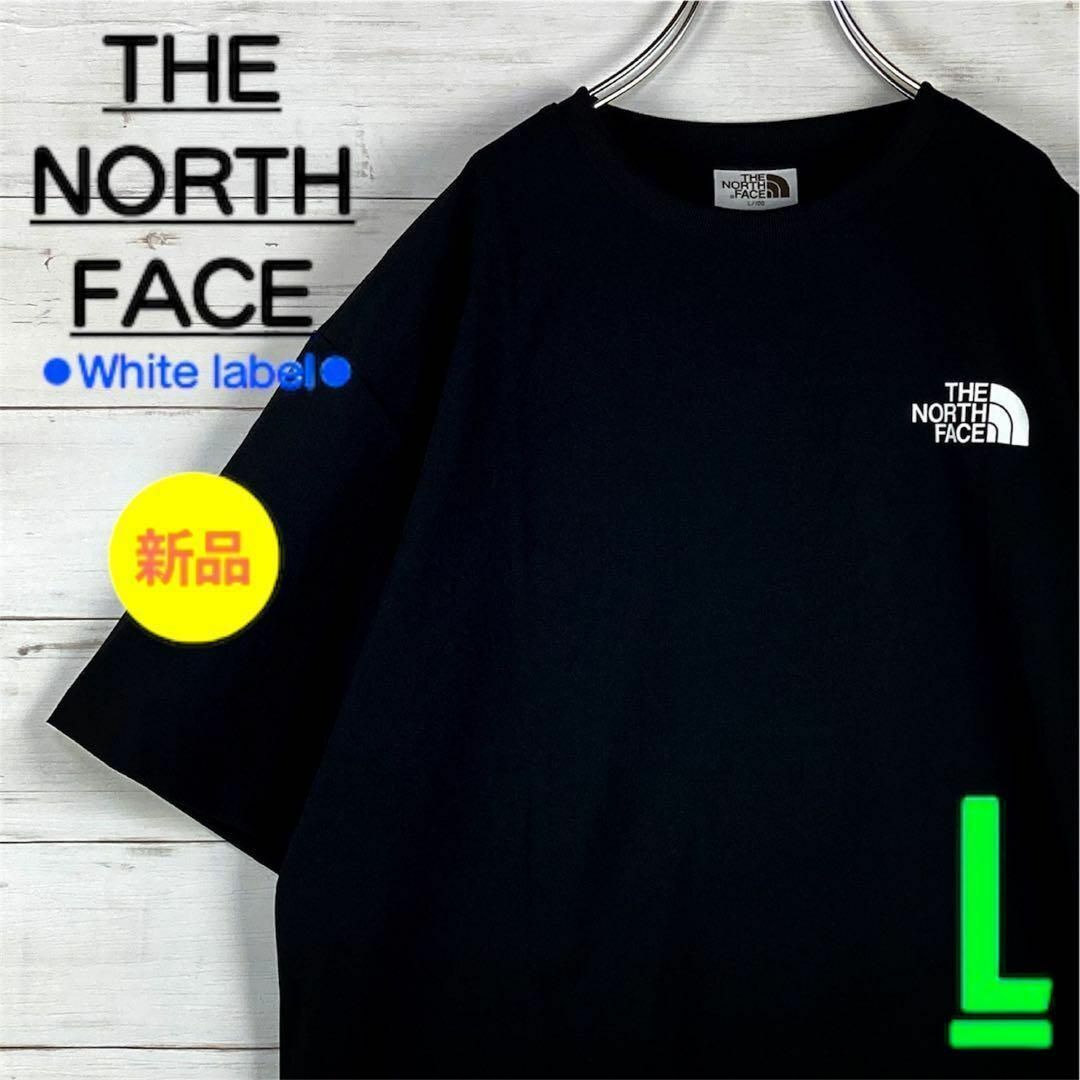 【新品・韓国限定 】　ノースフェイス　半袖　Tシャツ　ナイロン　ロゴ　黒　L