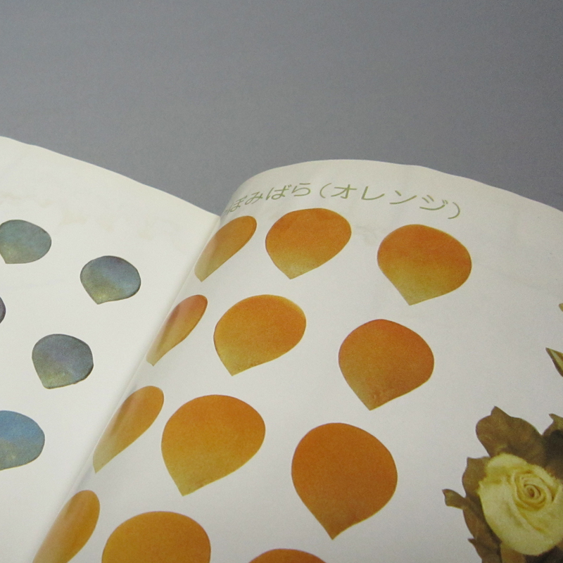 「くらしの中の染花」大平栄子 大平栄子 くらしの中の 染め花｜Yahoo!フリマ（旧PayPayフリマ）