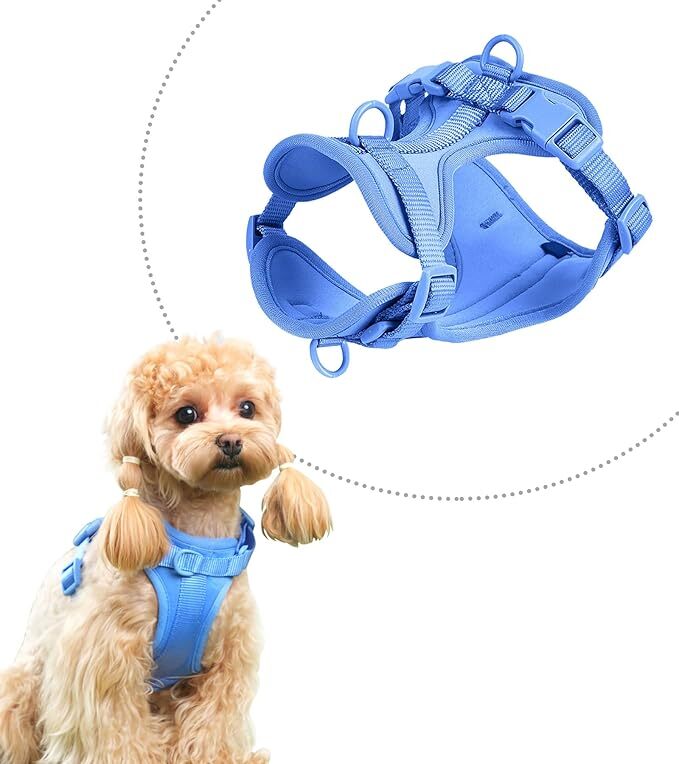 HOLYCAT 犬 ハーネス 超小型犬-中型犬 貓 犬用胸當て胴輪 犬はーねす 引っ張り防止 調節(jié)可能 ドッグ散歩しつけ訓練用 耐久性(ブルーS) 0203