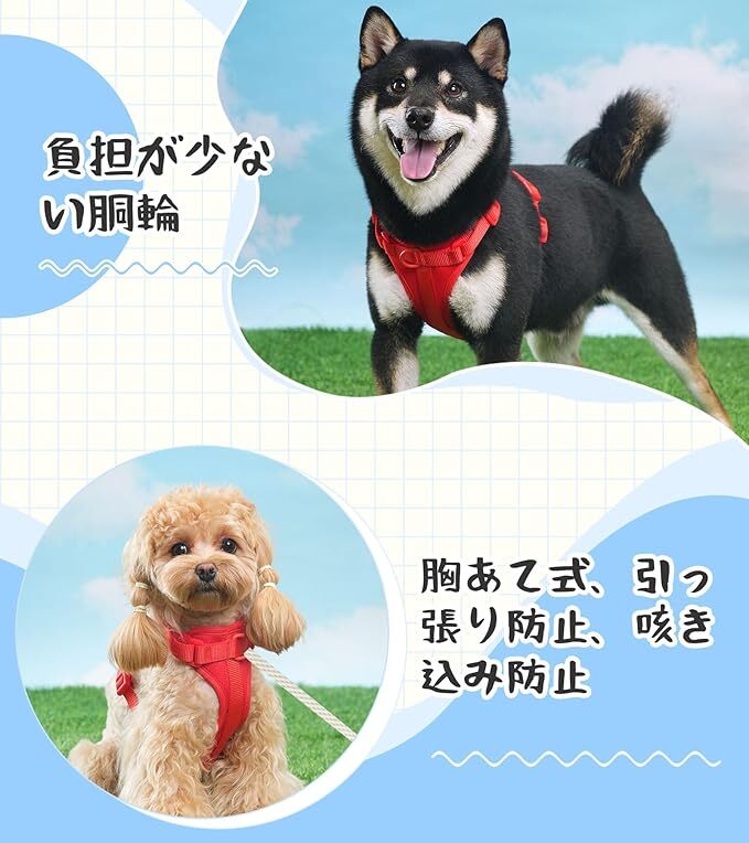 HOLYCAT 犬 ハーネス 超小型犬-中型犬 貓 犬用胸當て胴輪 犬はーねす 引っ張り防止 調節(jié)可能 ドッグ散歩しつけ訓練用 耐久性(ブルーS) 0203