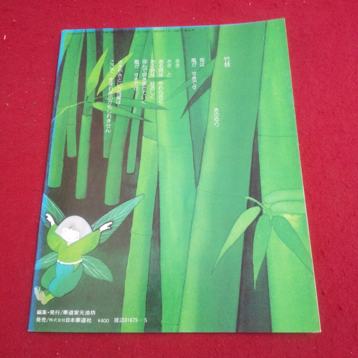 書き込み?色あせあり