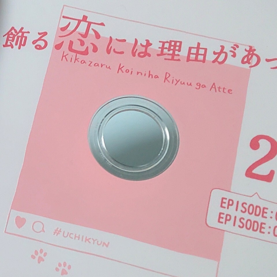 全巻セット【中古】DVD▼着飾る恋には理由があって(5枚セット)第1話～第10話 最終 レンタル落ち 中古】 着飾る恋には理由があって（5巻セット）第1話～第10話