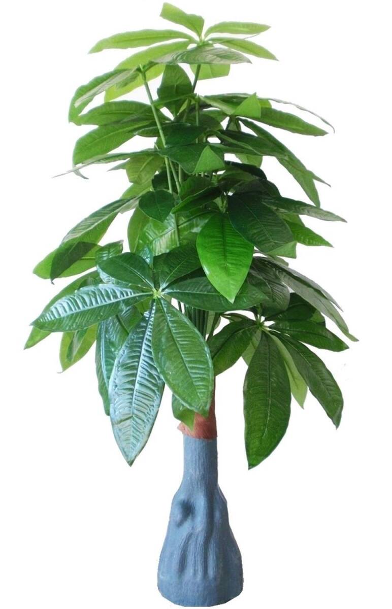 item_image_8