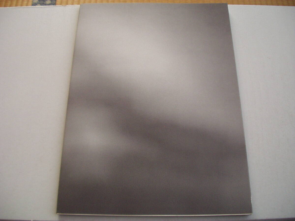 Expanded Retina | 拡張される網(wǎng)膜 BAMBA BOOKS 2012年 384/500 星野大 エグチマサル 藤本涼 橫田大輔 吉田和生