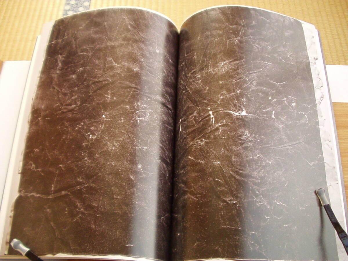 Expanded Retina | 拡張される網(wǎng)膜 BAMBA BOOKS 2012年 384/500 星野大 エグチマサル 藤本涼 橫田大輔 吉田和生