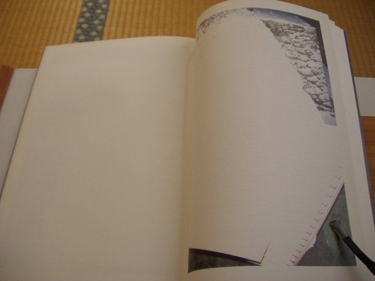 Expanded Retina | 拡張される網(wǎng)膜 BAMBA BOOKS 2012年 384/500 星野大 エグチマサル 藤本涼 橫田大輔 吉田和生