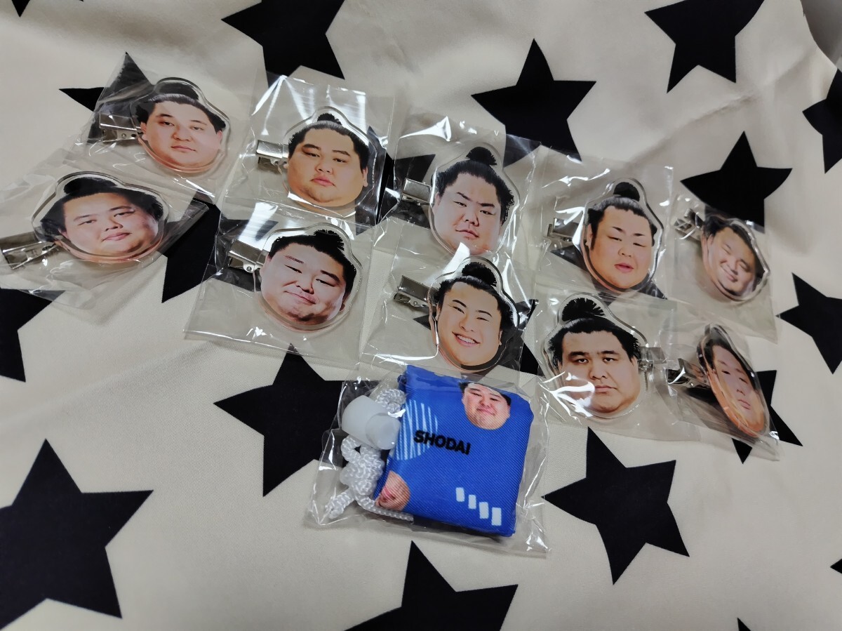 大相撲　力士フェイスヘアピン10個セット　オマケ正代巾着袋付き