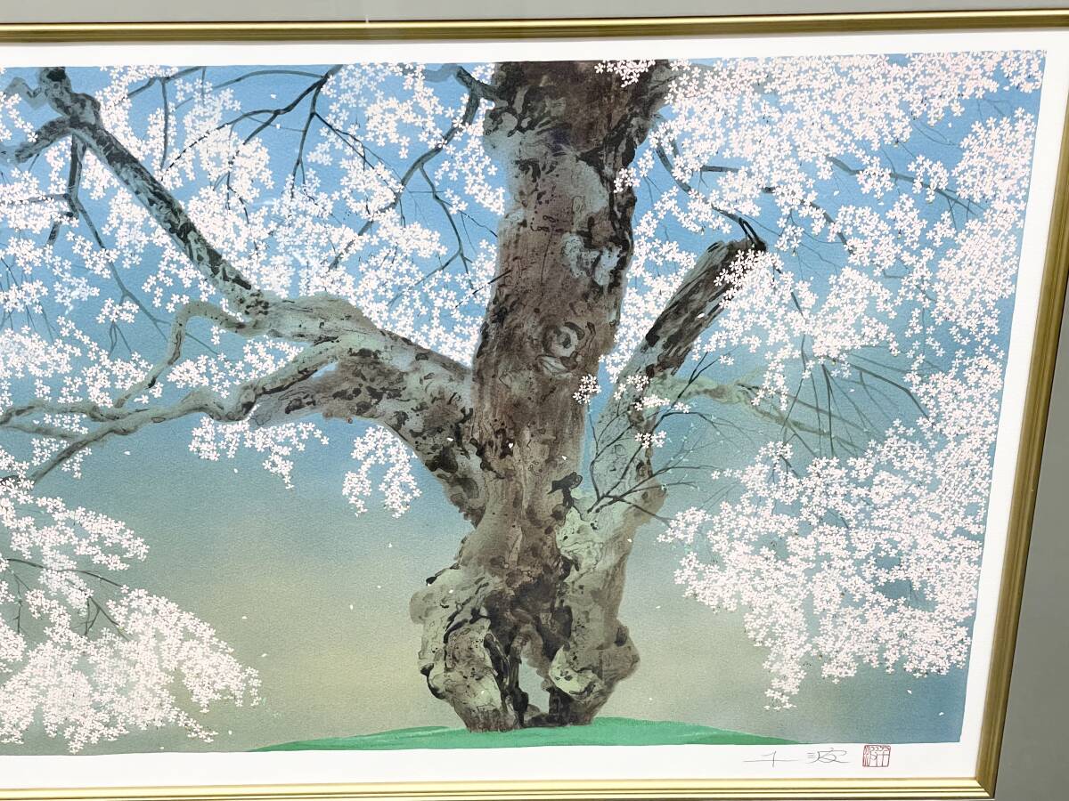 IY77592o 中島千波「常照皇寺の九重桜」リトグラフ 直筆サイン IY77592o 中島千波「常照皇寺の九重桜」リトグラフ 直筆サイン