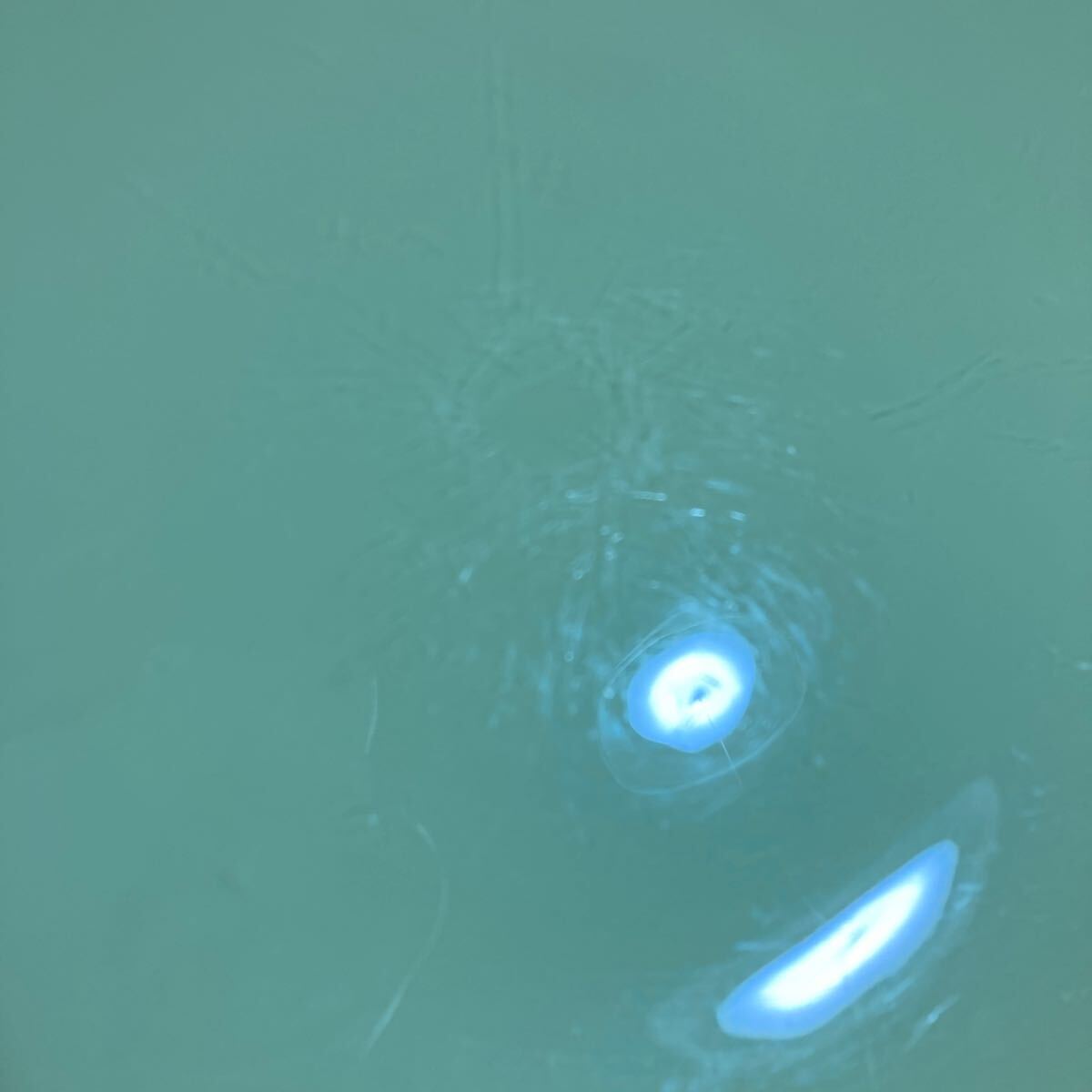 プレート皿　グリーン　3点セット　プレート　セット　食器　大皿　大皿プレート　お皿　皿　佐川急便対応のみ_画像4