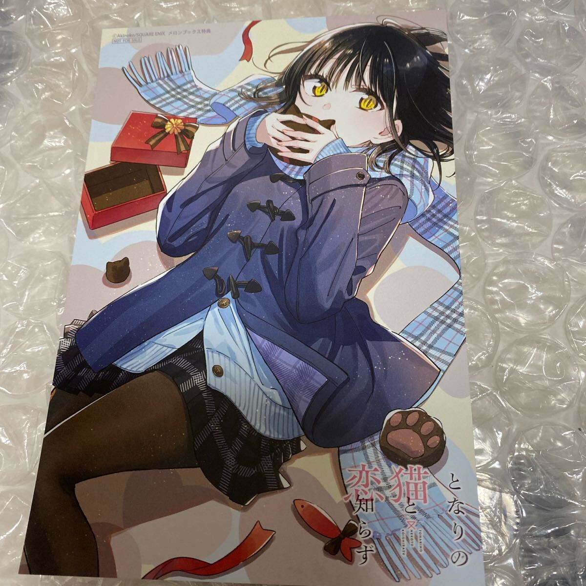 特典 色紙 となりの猫と恋知らず メロンブックス 漫画祭り