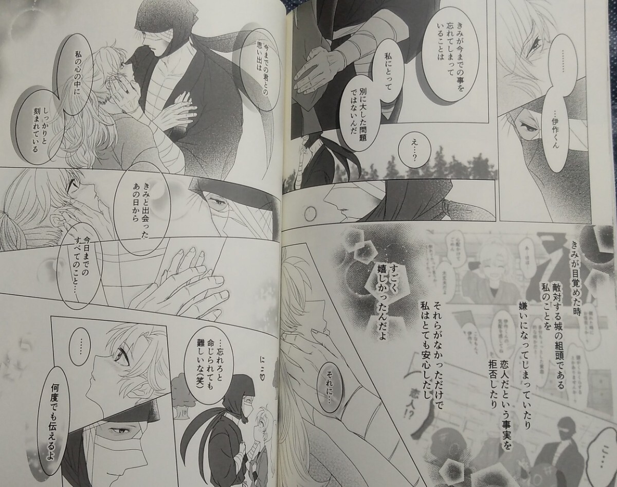 忍たま乱太郎同人誌【雑伊/雑渡昆奈門×善法寺伊作】のりたまん家 忍たま乱太郎同人誌【雑伊/雑渡昆奈門×善法寺伊作】のりたまん家