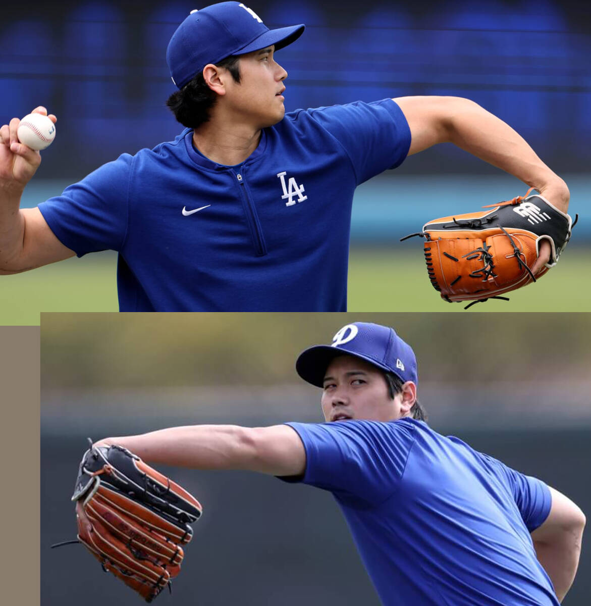 世界限定50個 大谷翔平 グローブ ニューバランス 大谷翔平モデル 世界限定50個 大谷翔平 グローブ ニューバランス 大谷翔平モデル