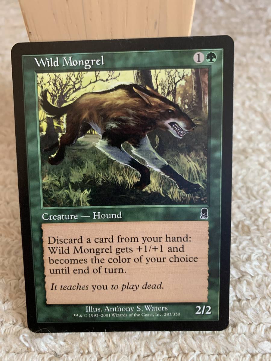  Odyssey . сырой. . вид собака /Wild Mongrel английская версия 
