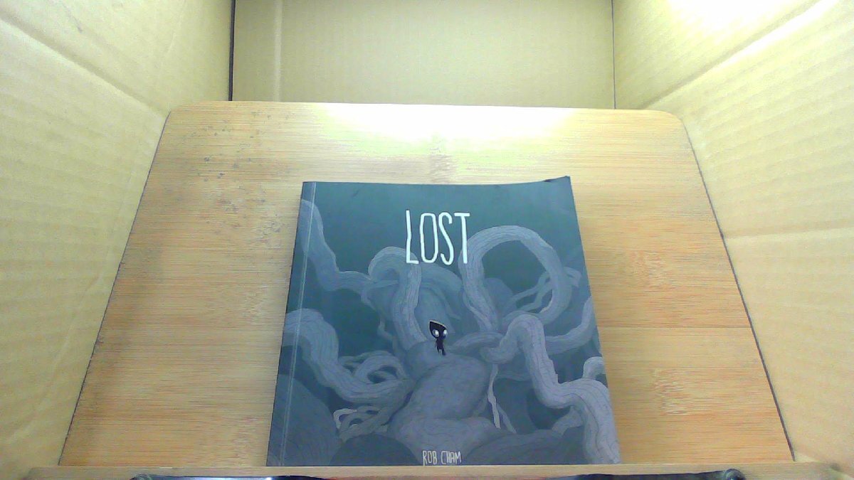 LOST RobCham /DDQ