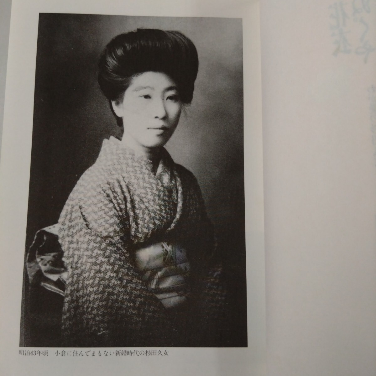 [ первая версия ] цветок .(. . около .)............ love. криптомерия рисовое поле . женщина Tanabe Seiko [ работа ] 1987 год выпуск 