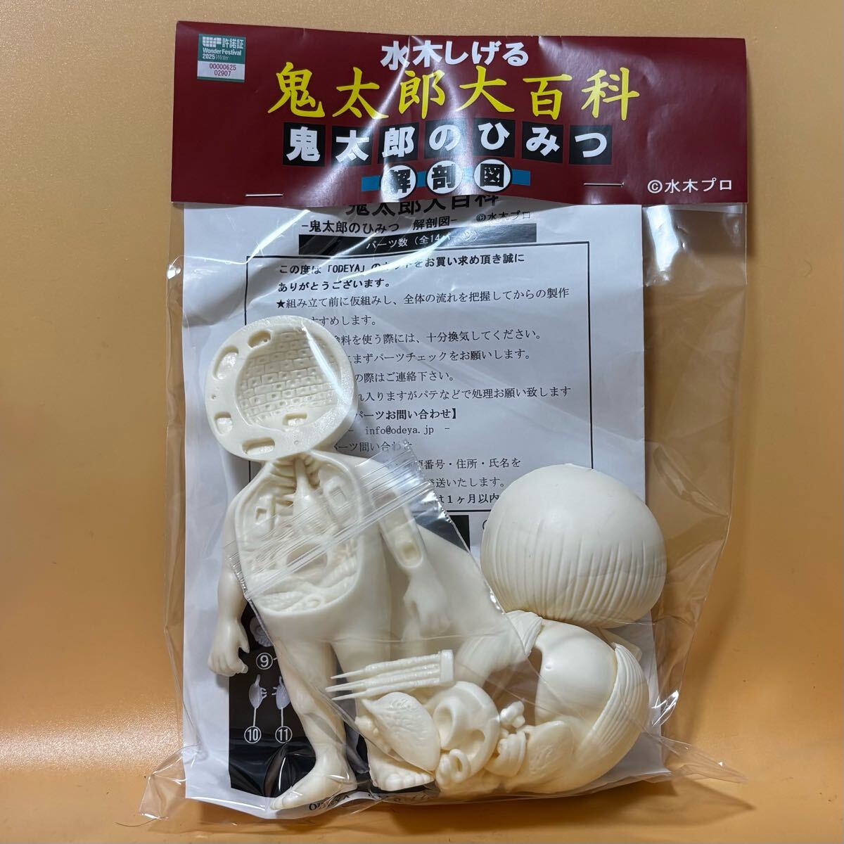 ODEYA オデヤ 新作 ねこ娘解剖図 ゲゲゲの鬼太郎 解剖図 ODEYA オデヤ 新作 ねこ娘解剖図 ゲゲゲの鬼太郎 解剖図
