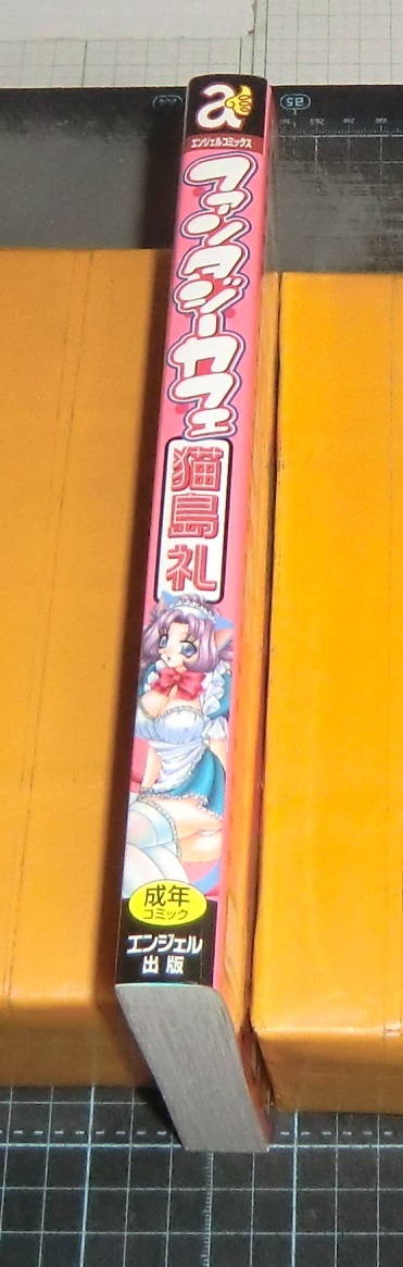 ＥＢＡ！即決。貓島禮　ファンタジーフカフェ　エンジェルコミックス　エンジェル出版