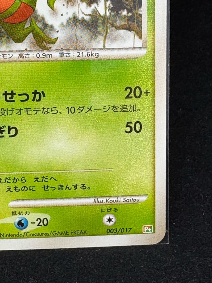 ポケモンカード ジュプトル ポケモンカードゲームDPt 構築 ポケモンカード ジュプトル ポケモンカードゲームDPt 構築