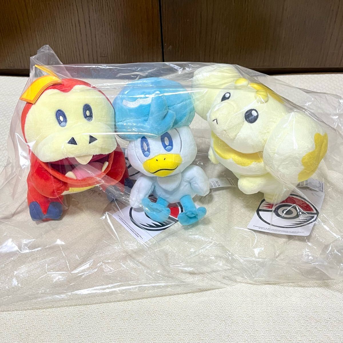 ピカピカボックス2025 ポケモンセンター限定 パモ 初夢まくら ピカピカボックス2025 ポケモンセンター限定 パモ 初夢まくら