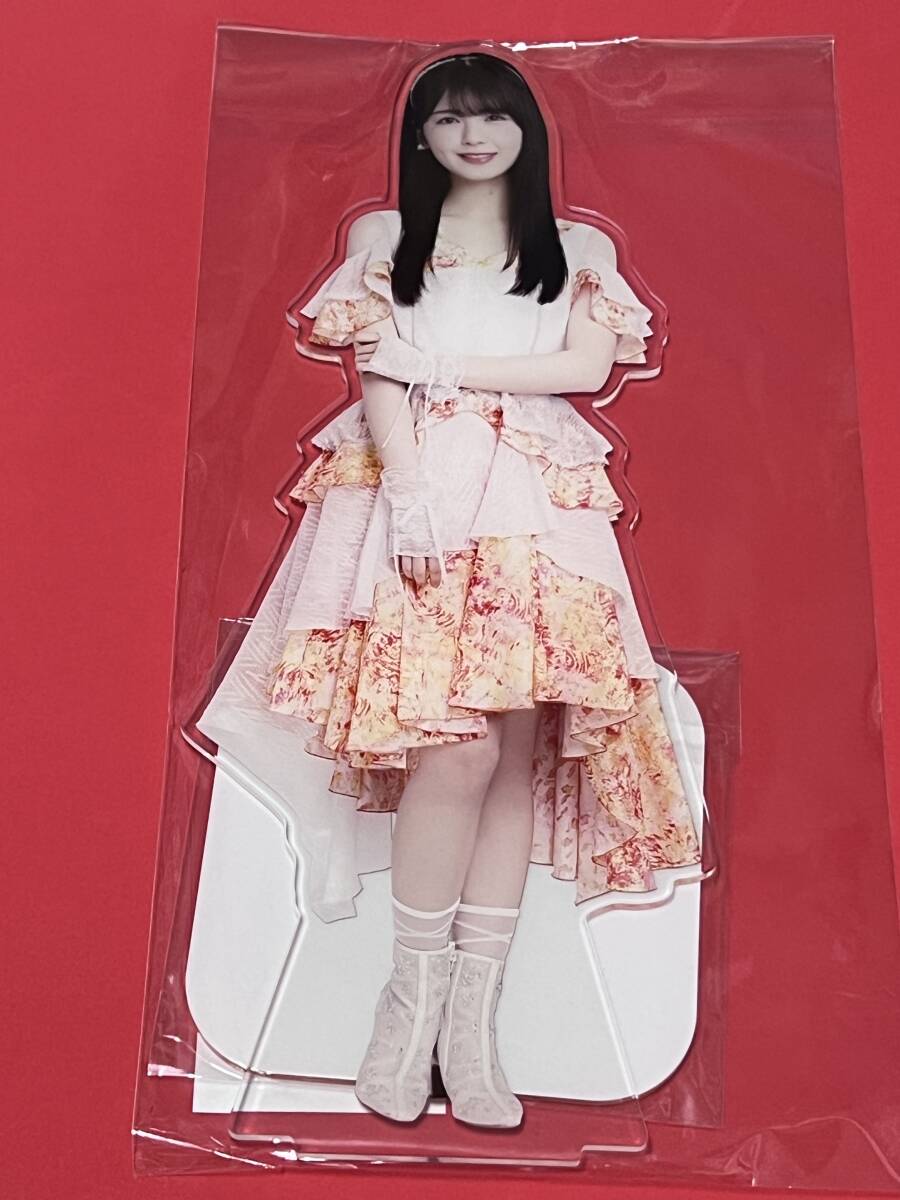 乃木坂46 筒井あやめ 福袋 2025 BIGアクリルスタンド 送料無料・匿名配送】 筒井あやめ 福袋限定 個別ランダム BIG