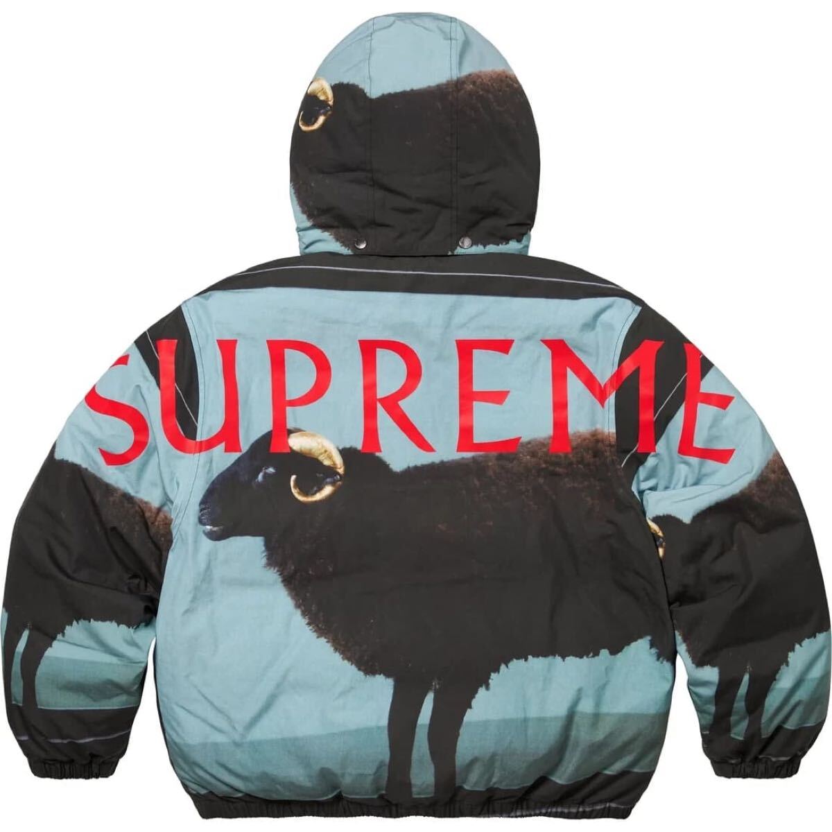 新品 Supreme 25SS Damien Hirst Down Puffer Jacket 新品 Supreme 25SS Damien Hirst Down Puffer Jacket