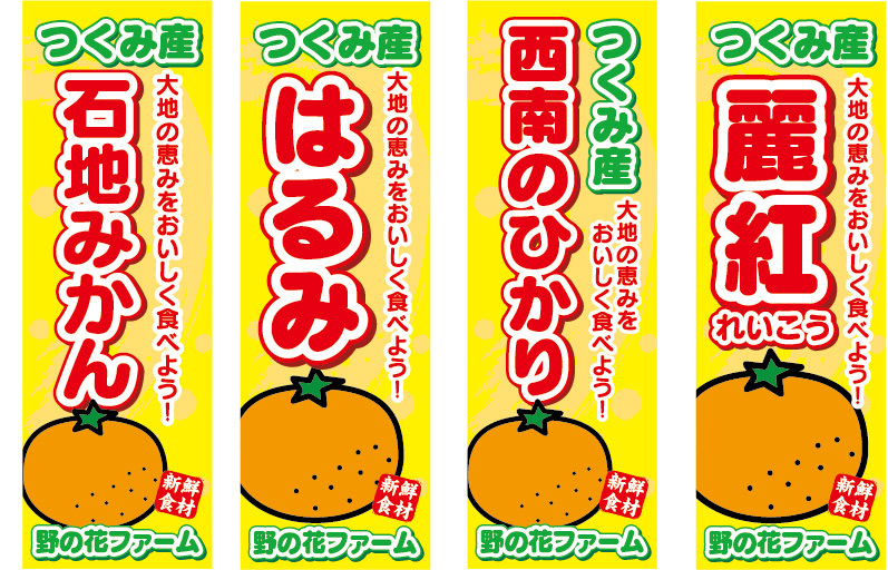 のぼり　のぼり旗　つくみ産　みかん　4種類　4枚セット