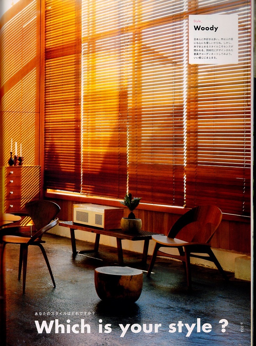 журнал BRUTUS/ голубой tasNo.568(2005.4/15 номер )* специальный выпуск : только это. вдавлено ..... хочет! интерьер * ключевое слово 260* интерьер * гид решение версия *