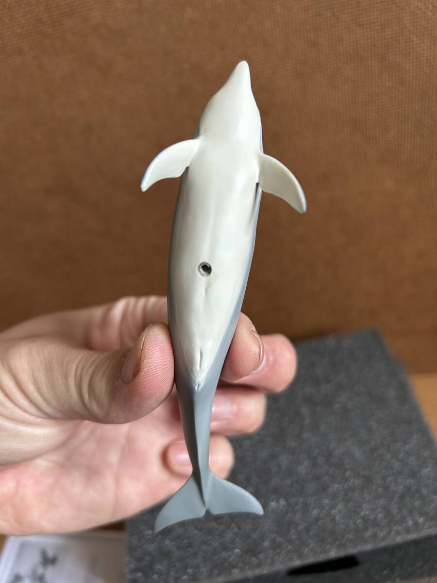  Kaiyodo aqua Tales поли Stone версия частота u дельфин вскрыть товар сосна .. один . сосна ... . текущее состояние товар 