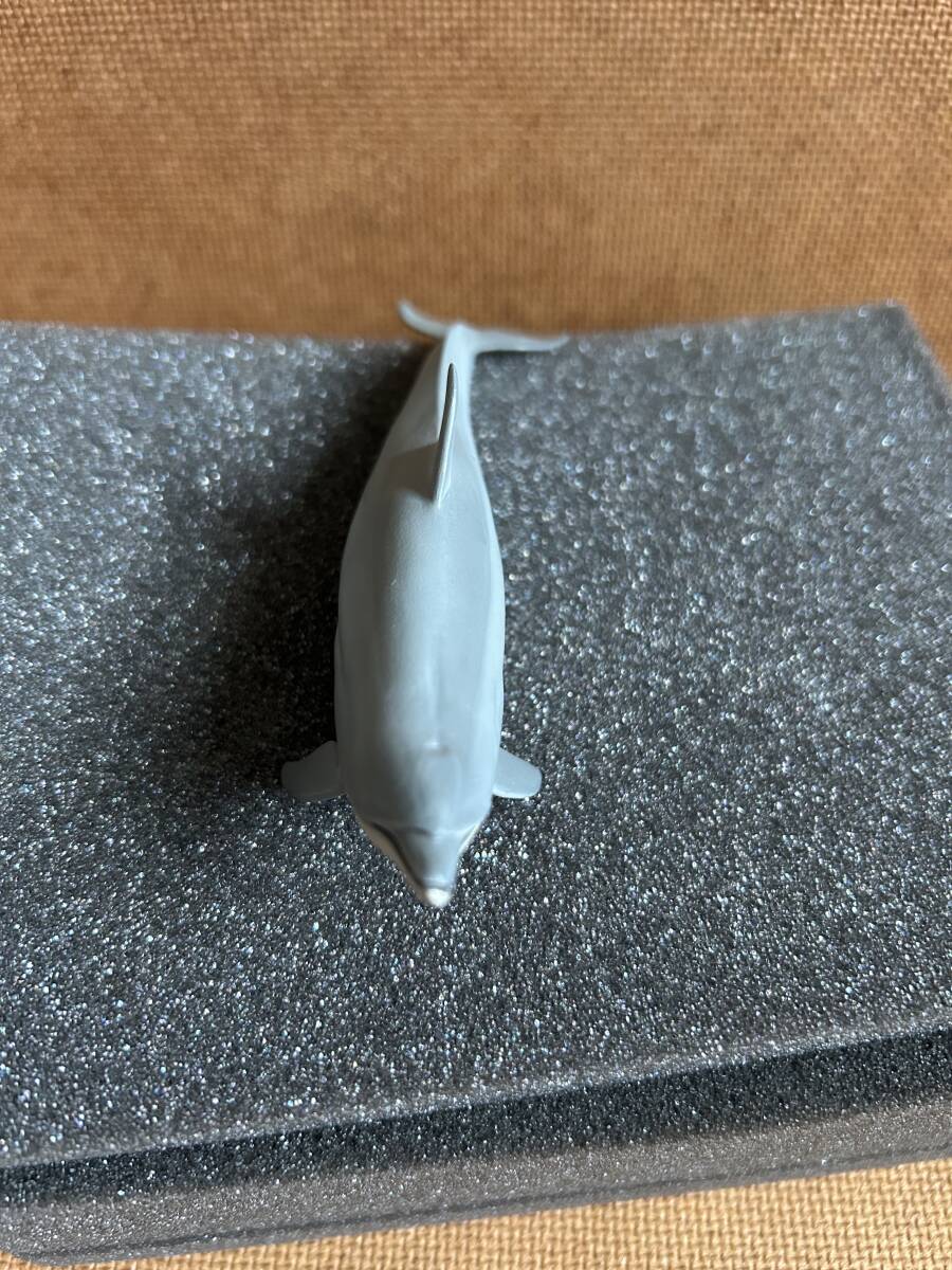  Kaiyodo aqua Tales поли Stone версия частота u дельфин вскрыть товар сосна .. один . сосна ... . текущее состояние товар 