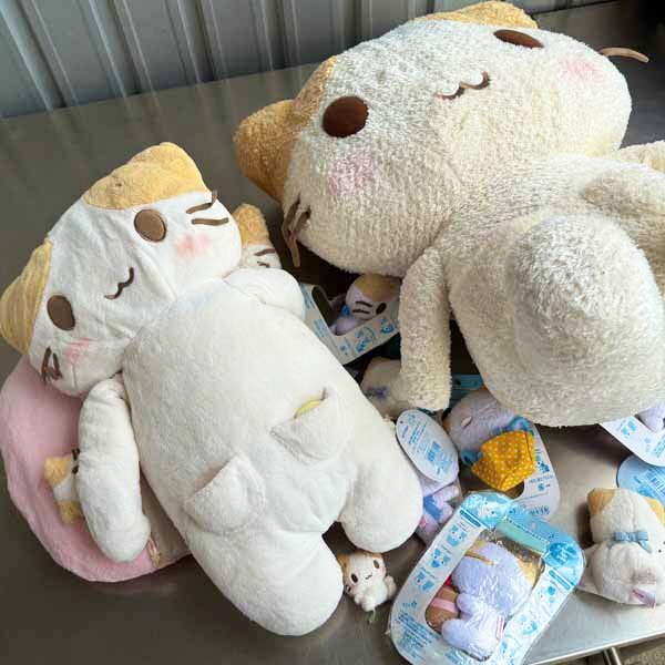 希少 マシュマロみたいなふわふわにゃんこ ぬいぐるみ 希少 マシュマロみたいなふわふわにゃんこ ぬいぐるみ