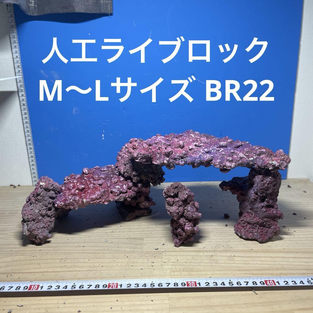 人工ライブロック SHR10アク抜き済み安心塗料使用 人工ライブロック SHR10 アク抜き済み安心塗料使用 水槽用模型