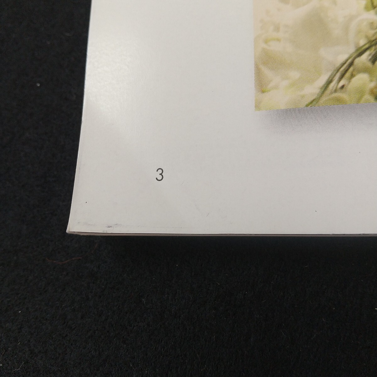 Mb-007/月刊スキージャーナル2010年11月號 通巻540號 志面連動DVD及び別冊付録欠品 上村愛子 松沢圣佳 佐々木明 井山敬介/L2/70210