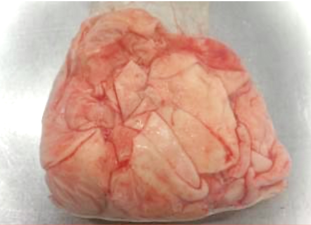 業(yè)務(wù)用に最適！【20kg】國(guó)産　牛スジ（メンブレン/はらみまく）1kg×20パック 牛ハラミ皮筋！おでん！牛すじ串に★