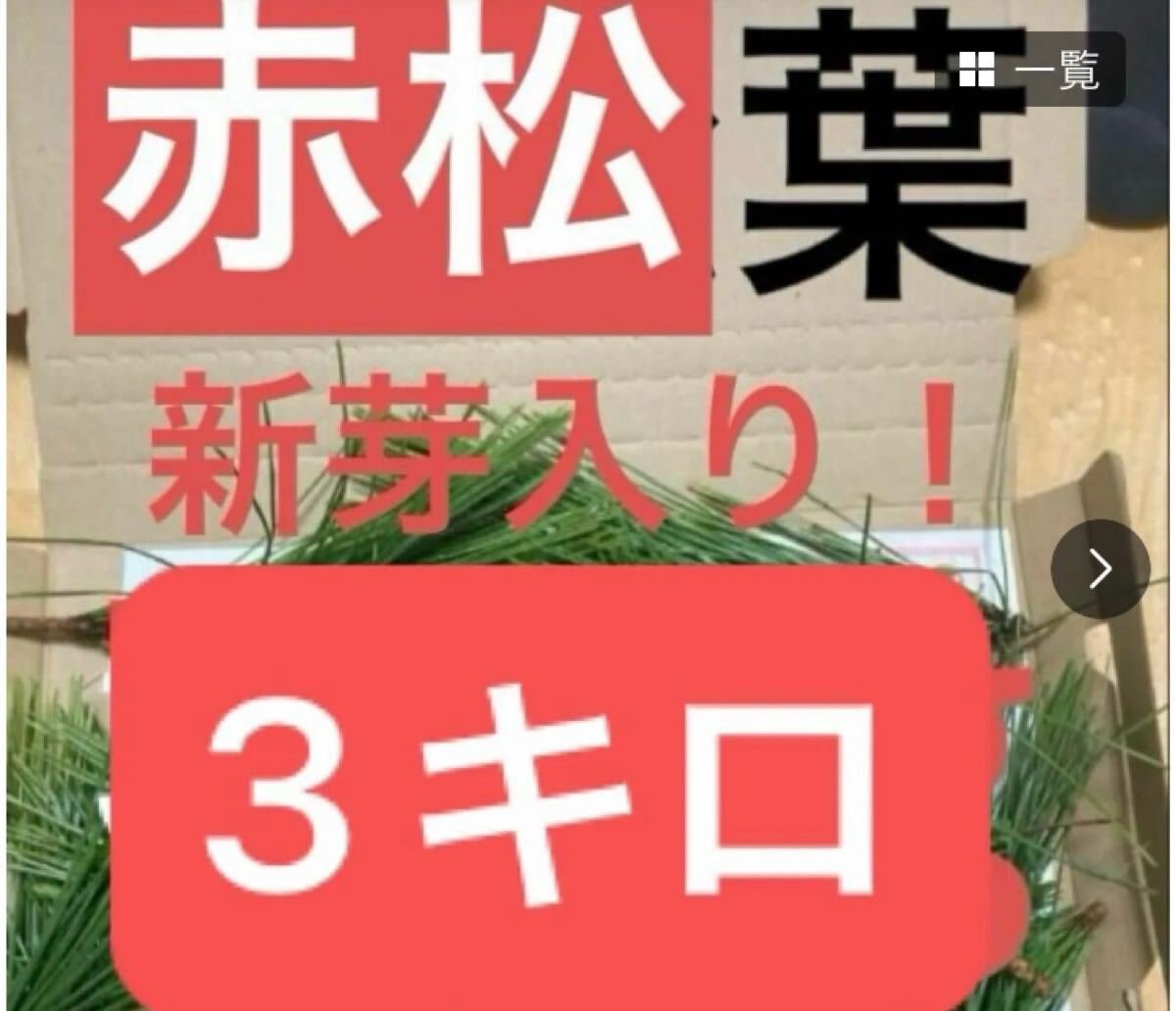 赤松 3キロ　岡山県産