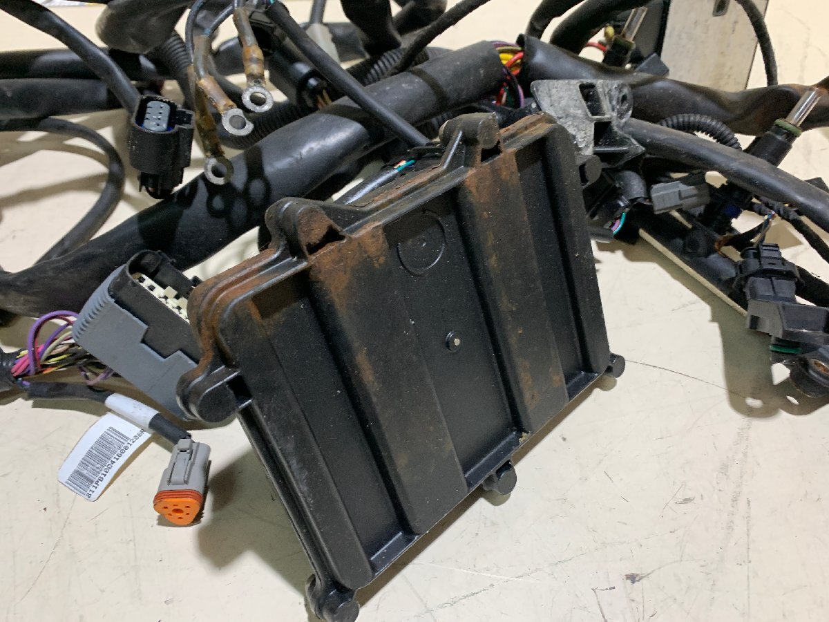 Sea-Doo シードゥ GTX 260 IS メインハーネス ハーネス 動作 Sea-Doo シードゥ GTX 260 IS メインハーネス ハーネス 動作
