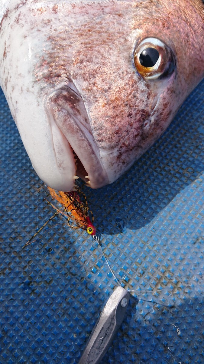 □□タイラバネクタイ冬春真鯛（イワシパターン）ロックフイッシュリグ紅牙SaqSasフック装着オレンジ・レッド系4匹セット即日発送！□□_画像9