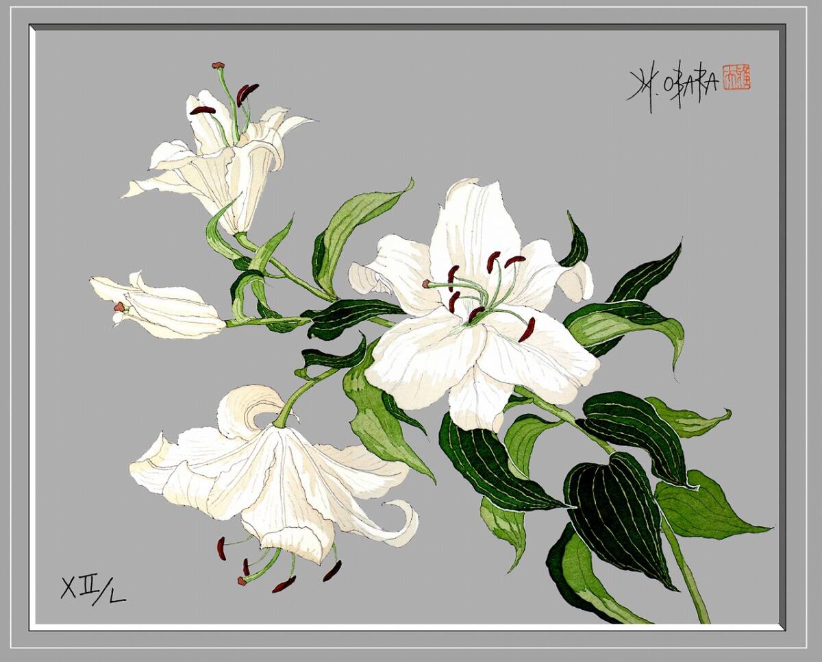 有名国際展作家「カサブランカ」静物画/サロン入選/D・リトグラフ/安野光雅の影響 有名国際展作家「カサブランカ」静物画/サロン・ドートンヌ入選