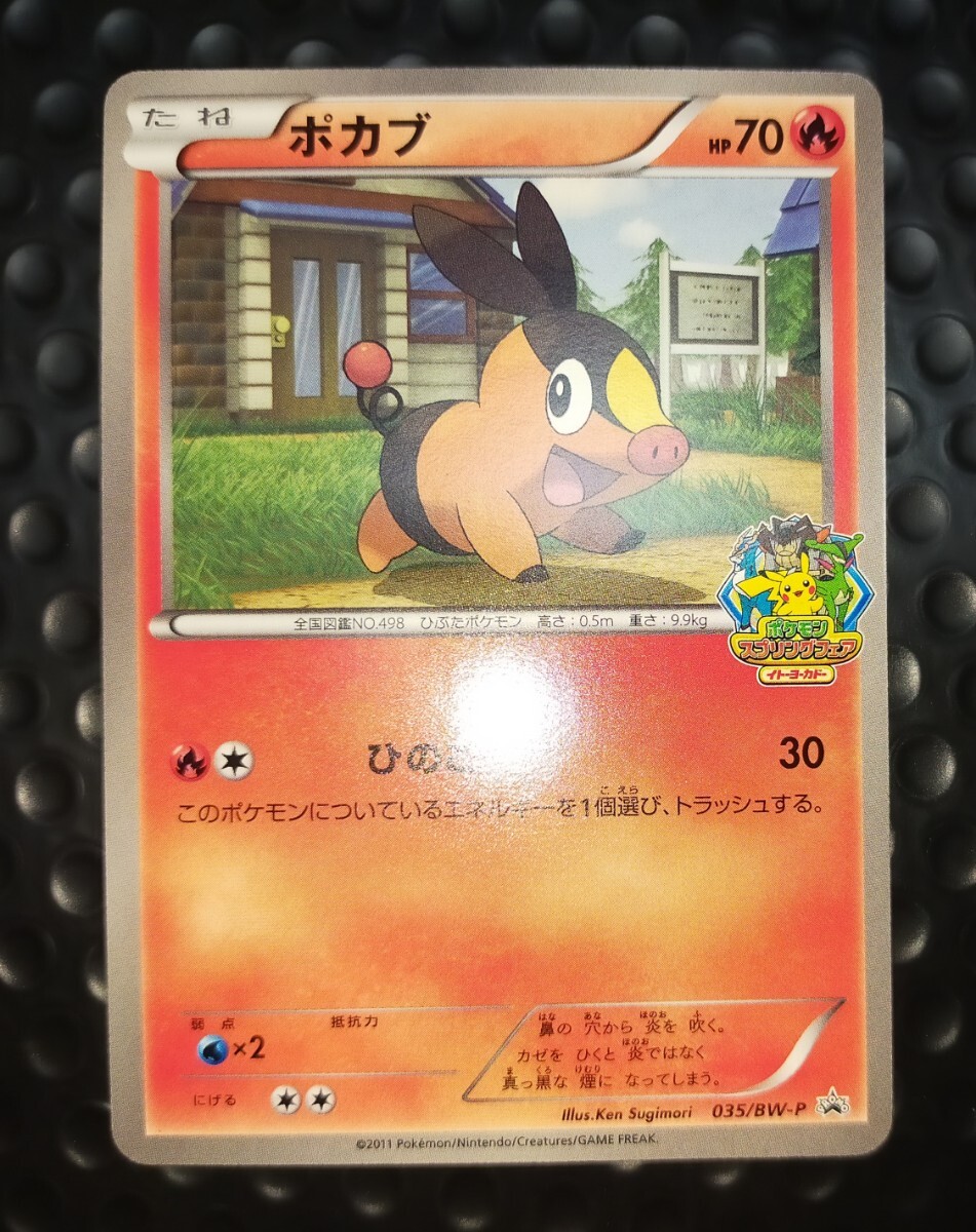 御三家 ツタージャ ポカブ ミジュマル スプリングフェア プロモ 御三家 ツタージャ ポカブ ミジュマル スプリングフェア プロモ