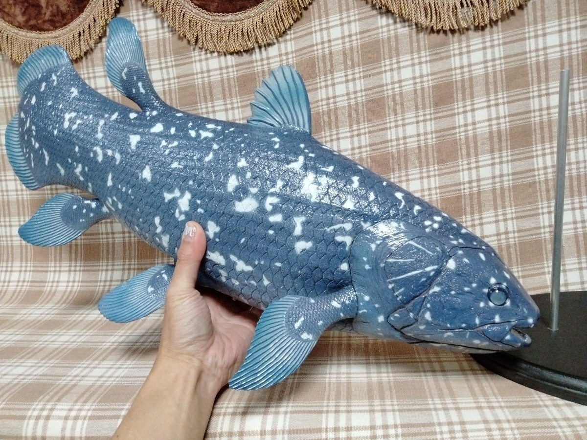 ハンドメイド 61cmシーラカンス フィギュア 置物 レプリカ 化石魚 古代魚 オブジェ インテリア fish craft REAL
