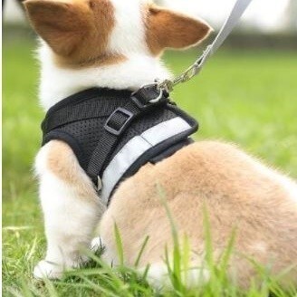 LDL2691# 犬 貓★ハーネス＆リード【XS】 メッシュで柔らかい?著せやすい 苦しくない 犬服 胴輪 超小型犬【ブラック XS】ベスト型 洋服型