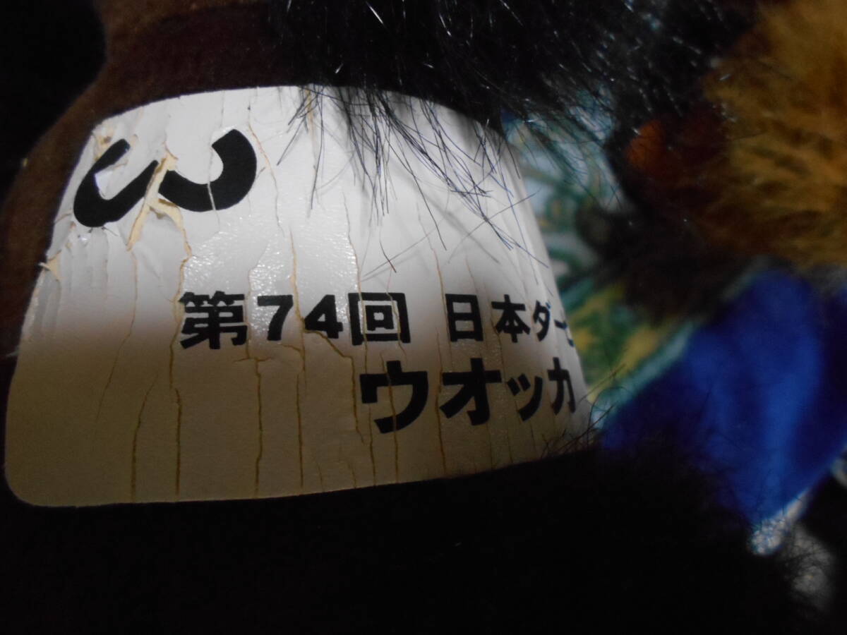 競走馬のぬいぐるみ 16点 ウォッカ オルフェーヴル キズナ 競走馬のぬいぐるみ 16点 ウォッカ オルフェーヴル キズナ