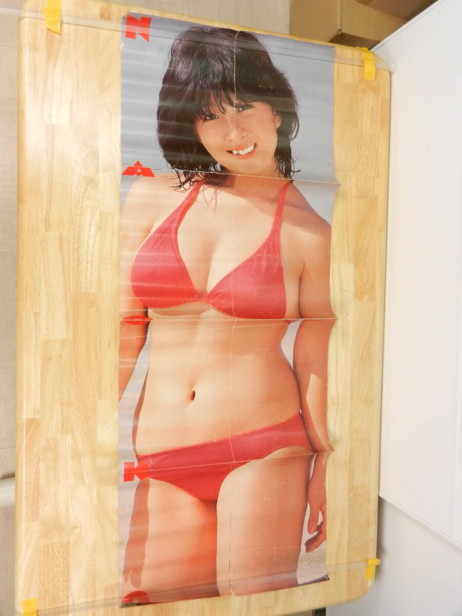未使用 河合奈保子 近藤真彦 ロングビッグポスター 明星 付録 水着 昭和56年 20 昭和56年4月号 明星付録 河合奈保子水着＆近藤真彦 ポスター