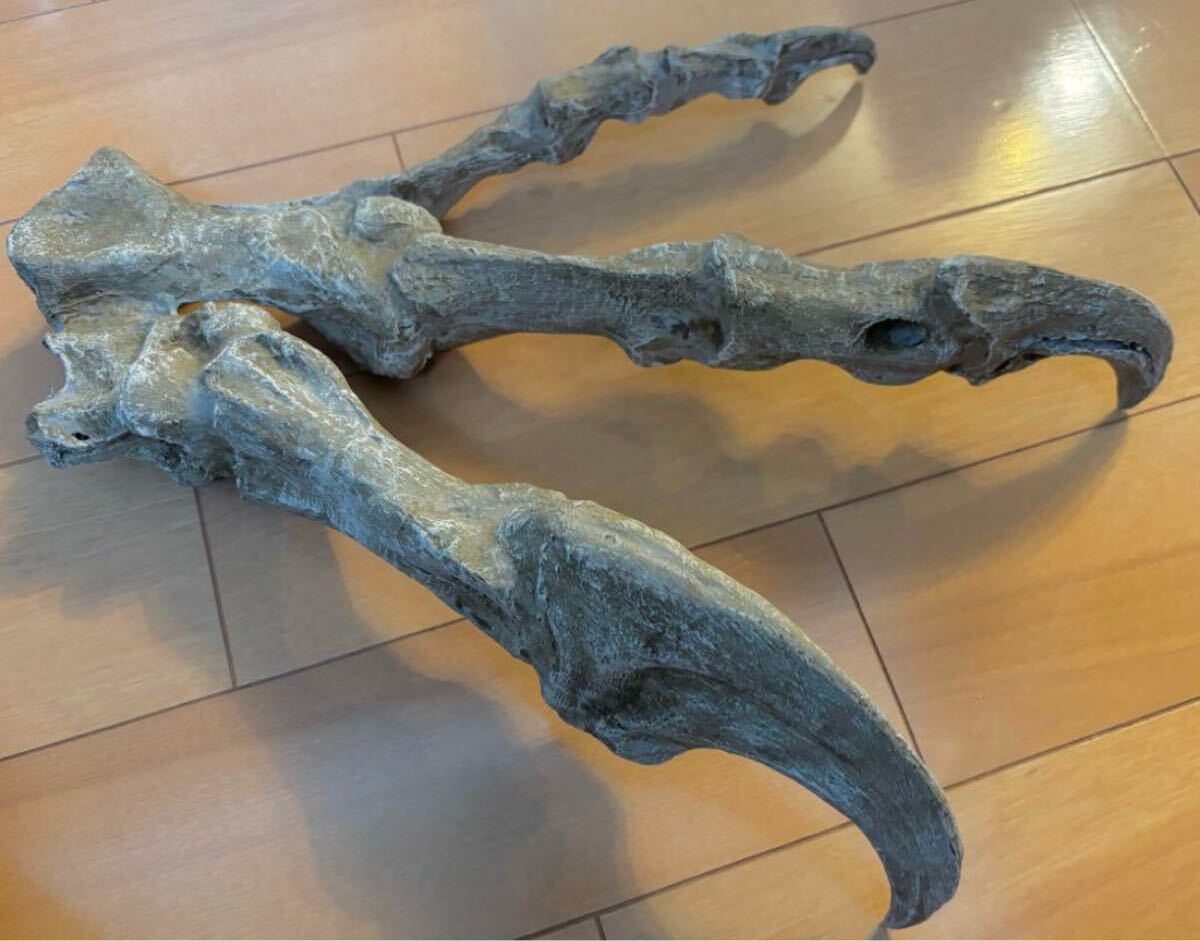  динозавр окаменелость arosaurus крюк коготь копия 1 пункт только 