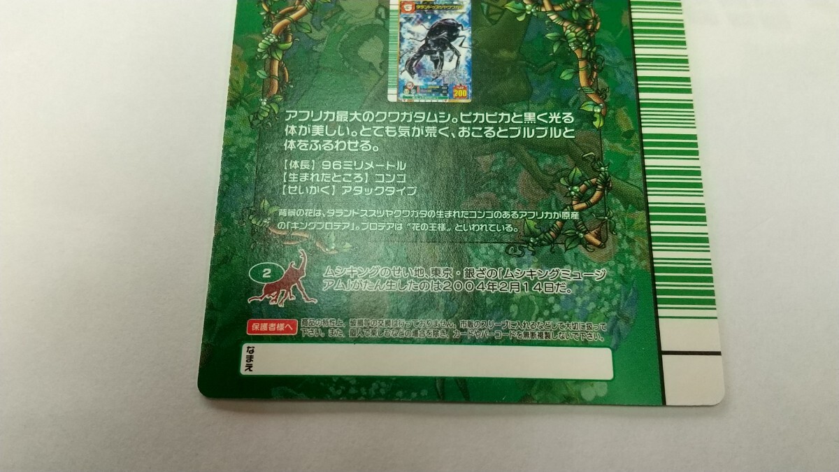 希少 美品 5周年コレクション タランドゥスツヤクワガタ 希少 美品 5周年コレクション タランドゥスツヤクワガタ