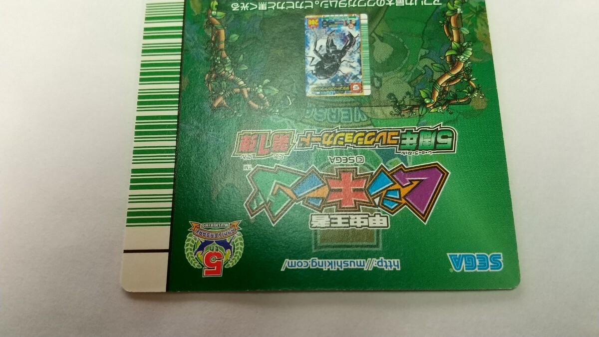 希少 美品 5周年コレクション タランドゥスツヤクワガタ 希少 美品 5周年コレクション タランドゥスツヤクワガタ